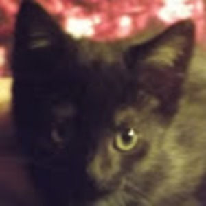 Meet your Posher, May